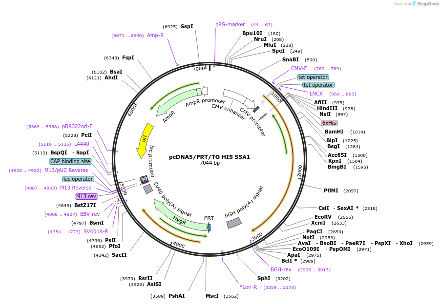 9179_map