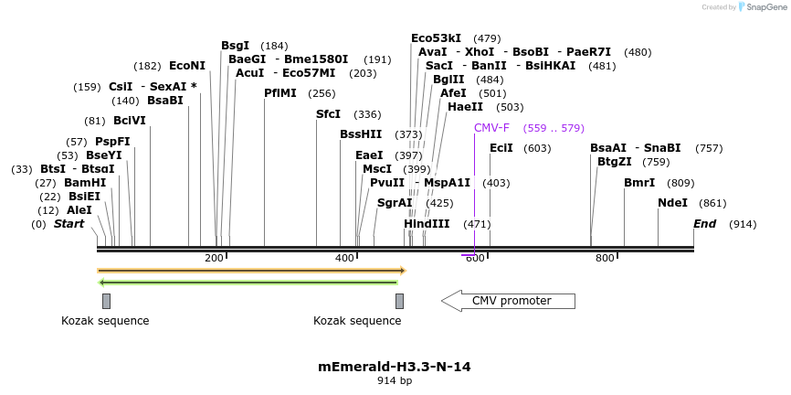 91792_map