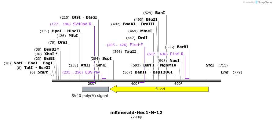 91793_map