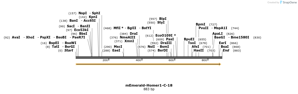 91794_map