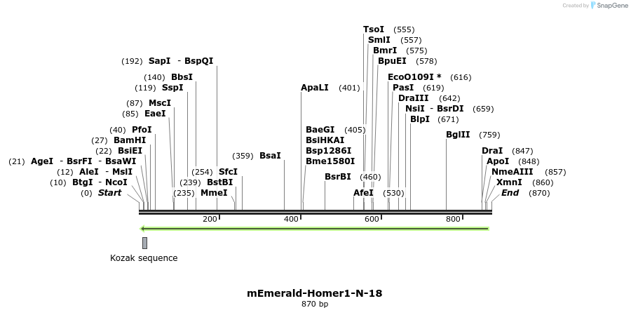 91795_map