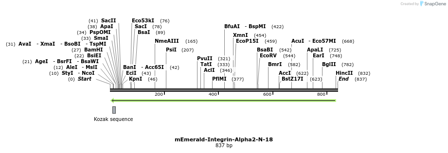 91796_map