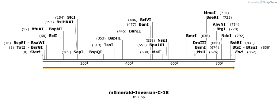 91797_map