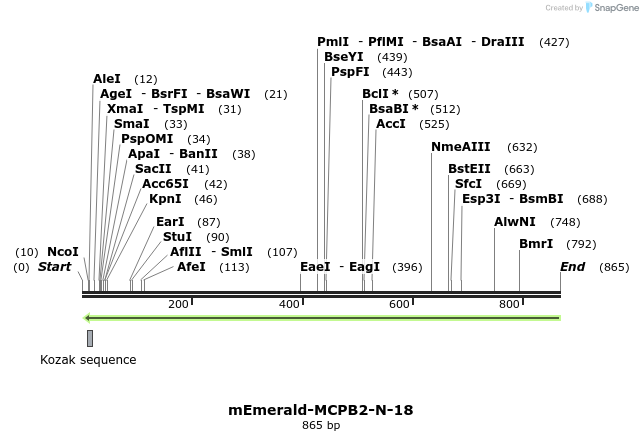 91798_map