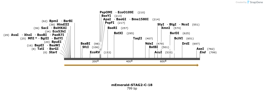 91799_map