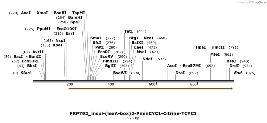 91802_map