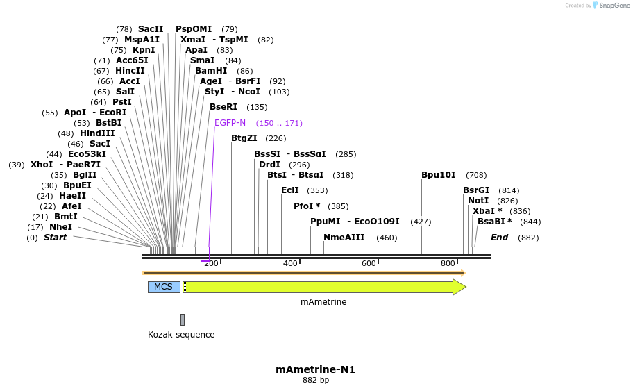 91803_map