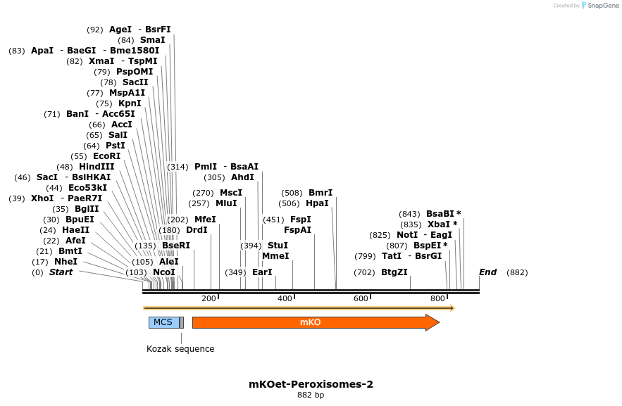 91806_map