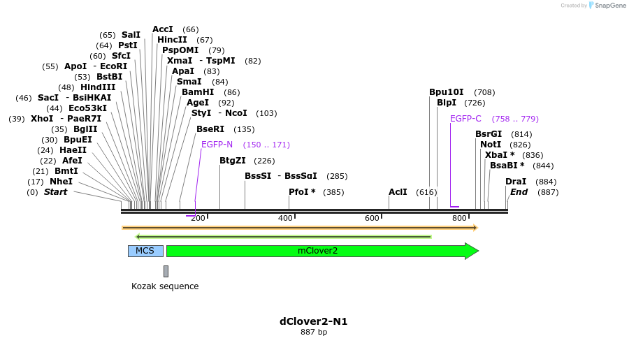 91807_map