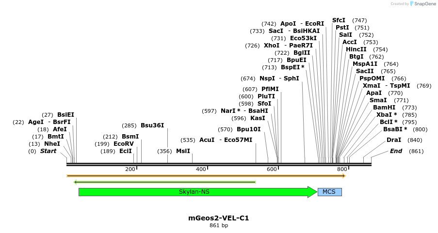 91808_map