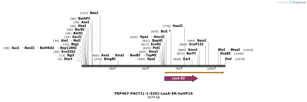 91809_map