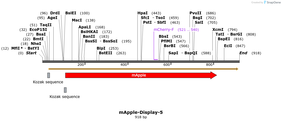 91810_map