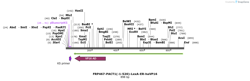 91811_map