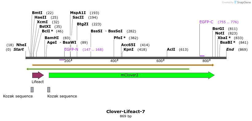 91812_map