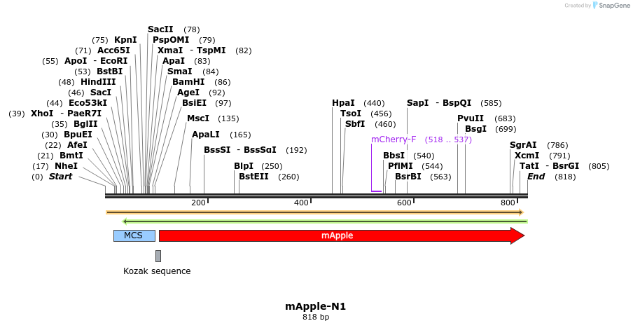 91816_map