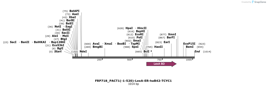 91819_map