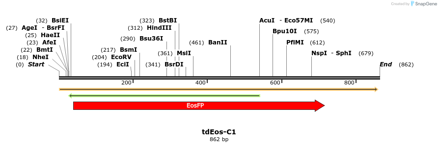 91820_map