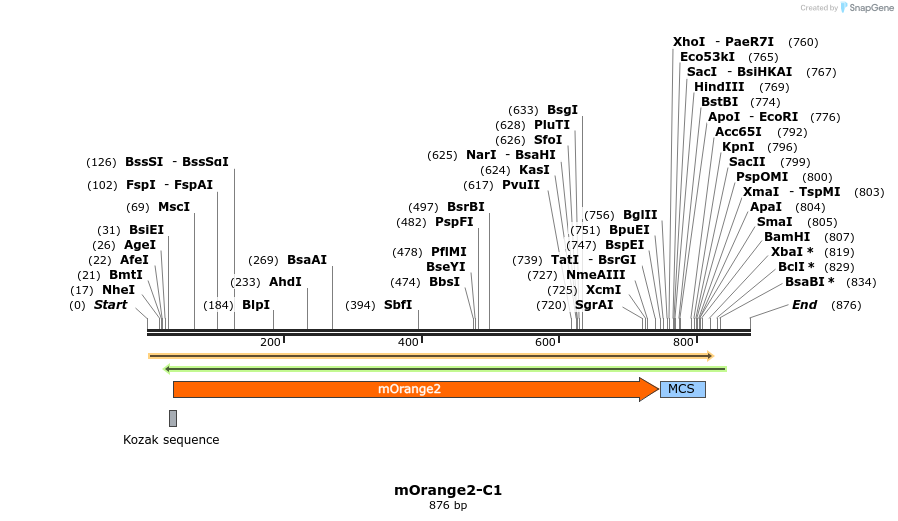 91821_map