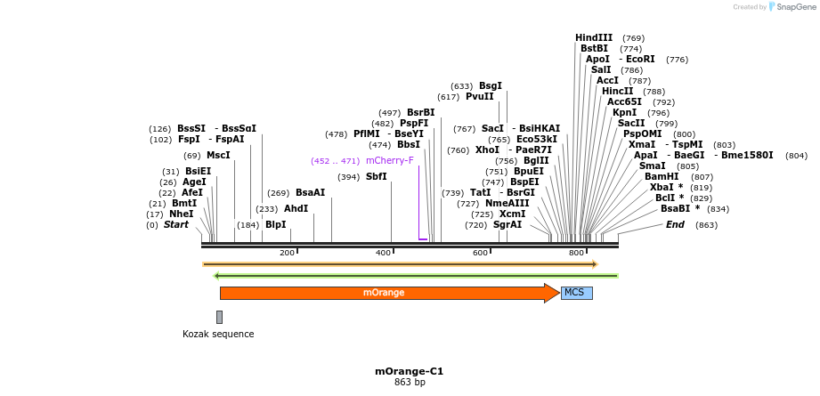 91822_map