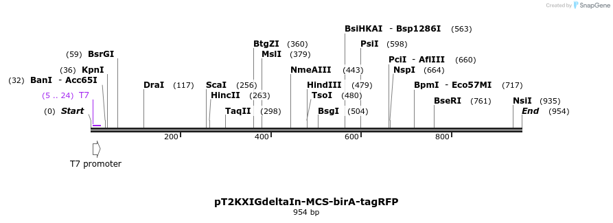 91830_map