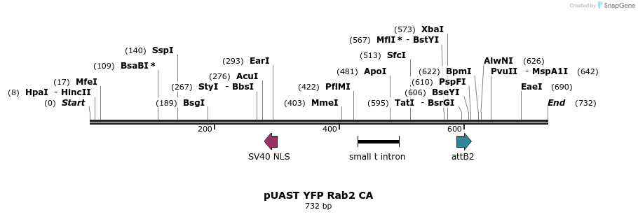 91845_map