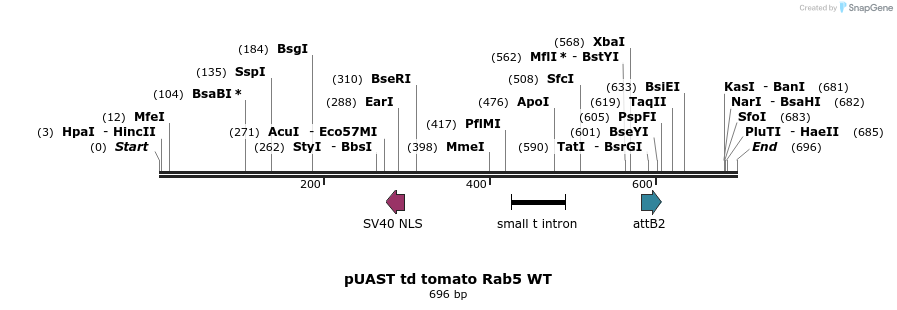 91851_map