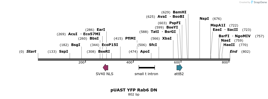 91854_map