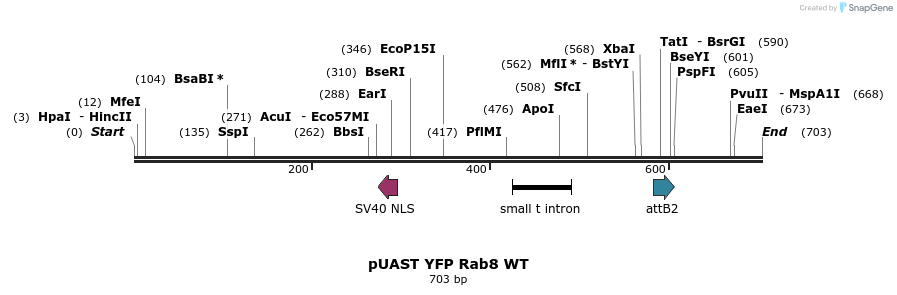 91856_map