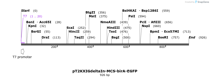 91857_map