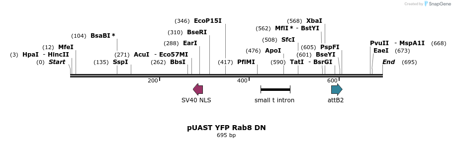 91858_map