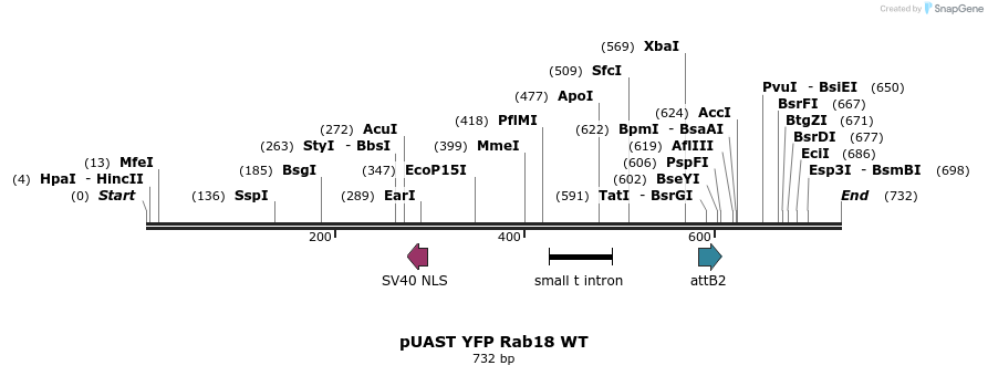 91859_map
