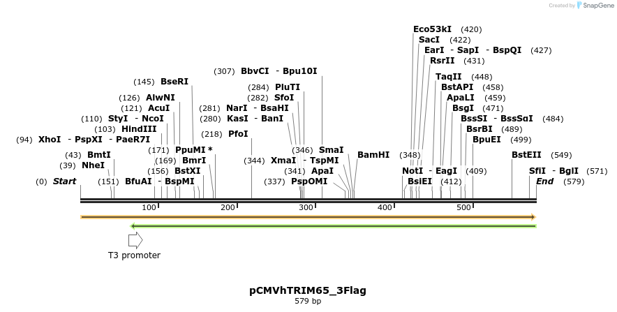 91861_map