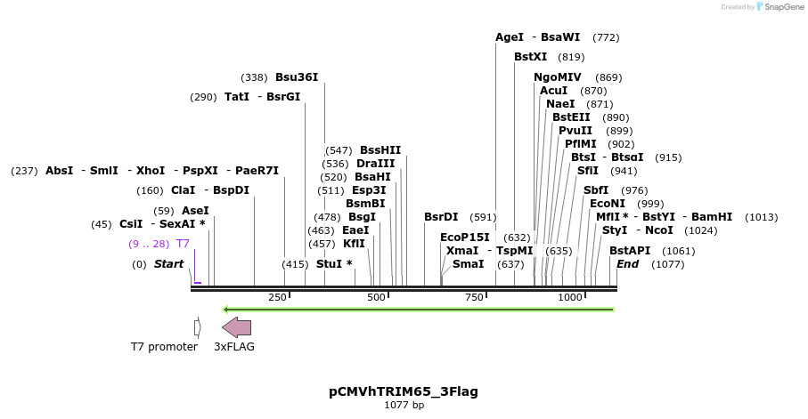 91863_map