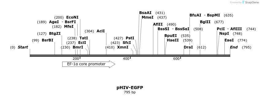 91877_map
