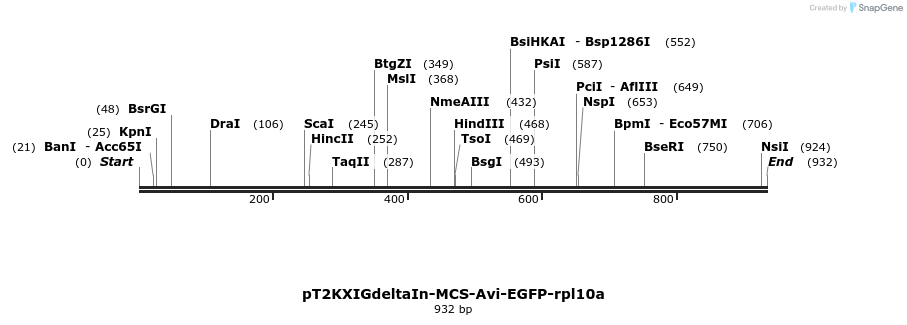 91886_map
