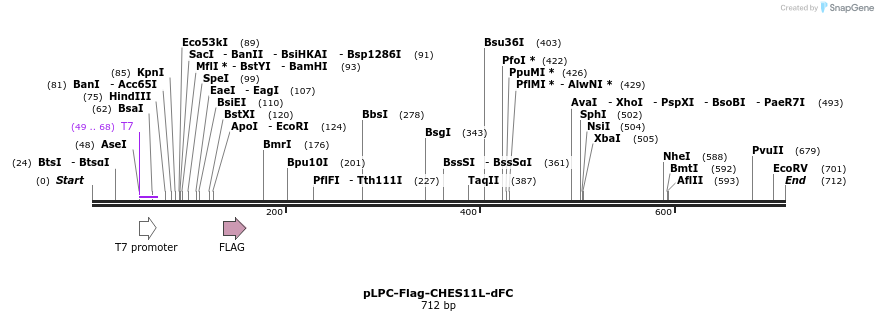 91888_map