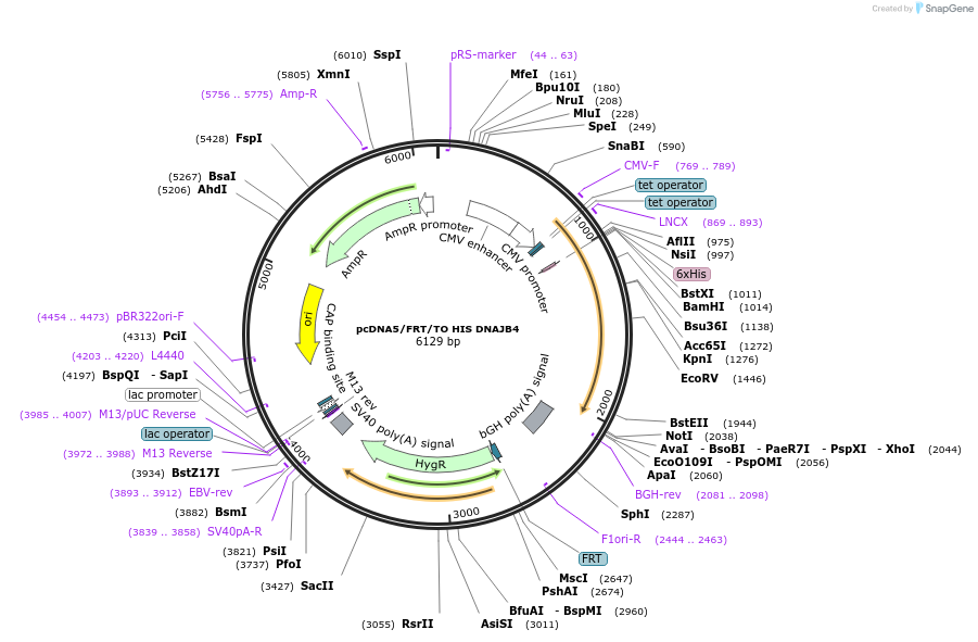 9189_map