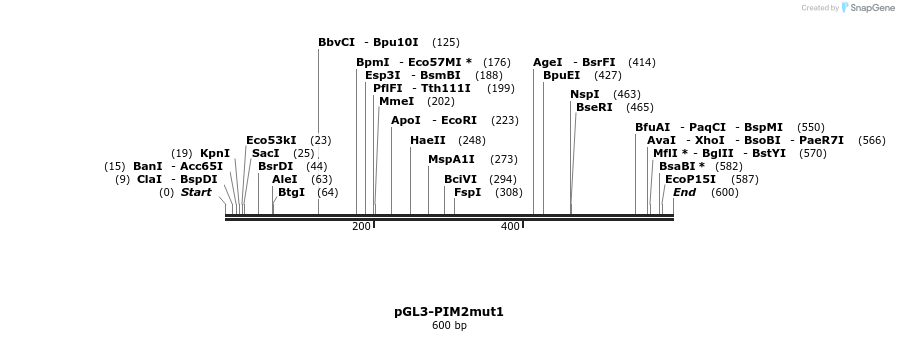 91903_map