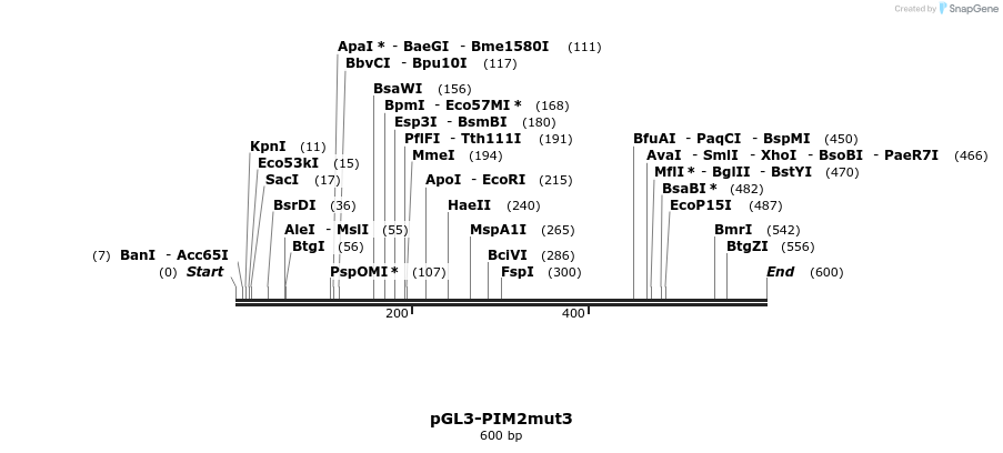 91907_map