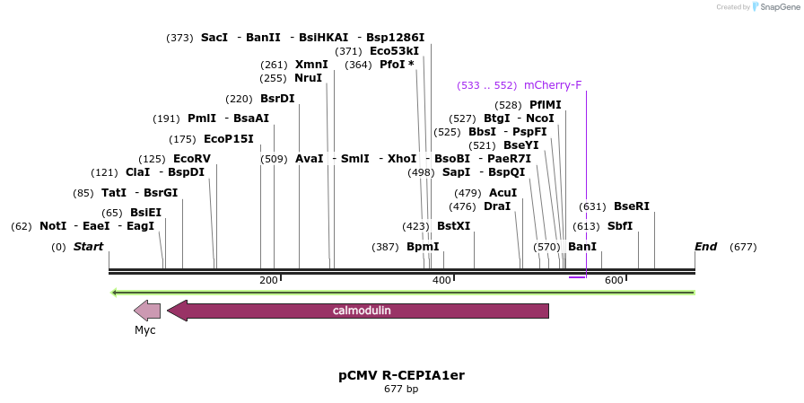 91908_map