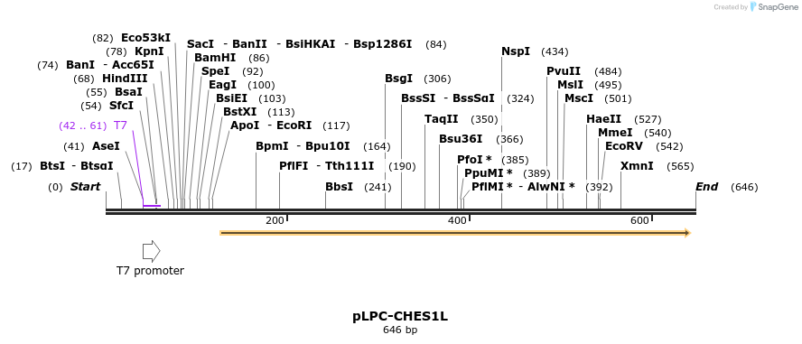 91910_map