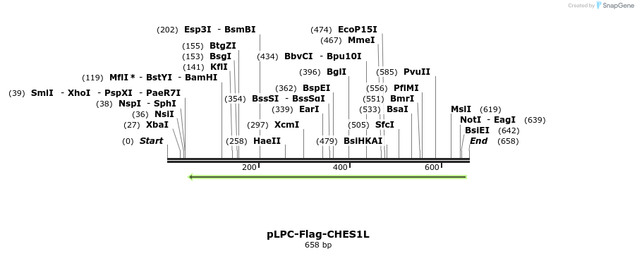 91911_map