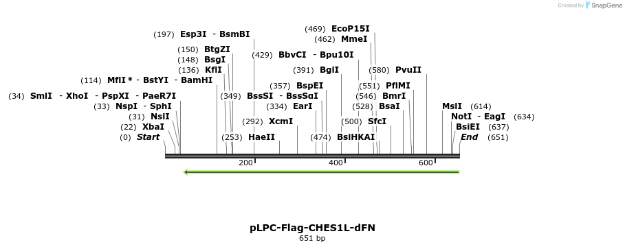 91922_map