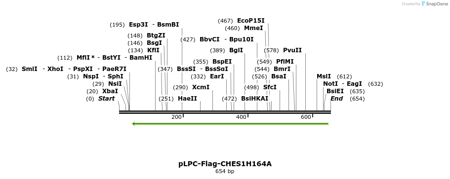 91925_map