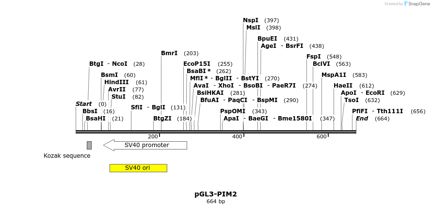 91937_map