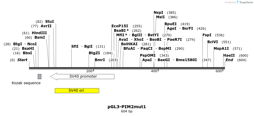 91938_map