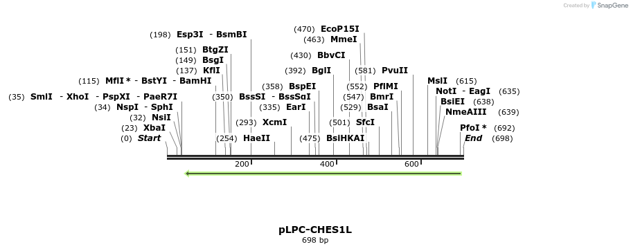 91941_map
