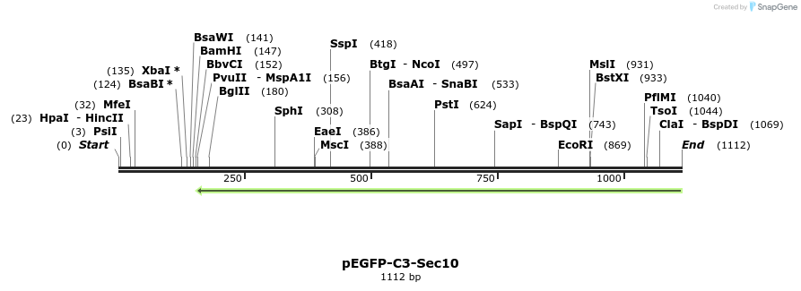 91942_map
