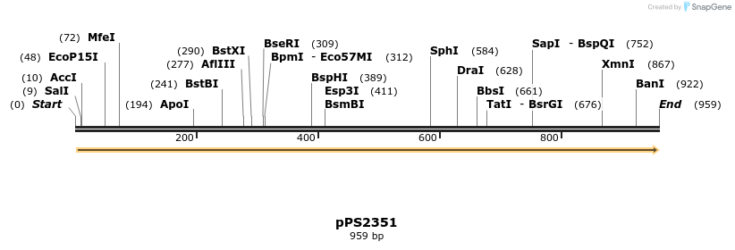 91947_map
