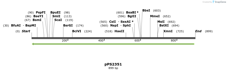 91949_map